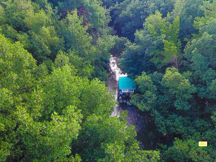 Vu aérienne d'un bateau du Mantou en milieu de visite dans le canal cocotte entouré de la mangrove.